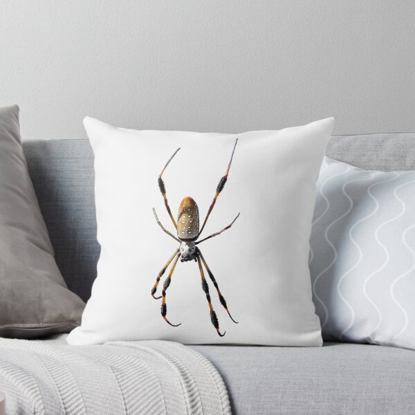 Item preview, Giant Golden Silk Orbweaver Orb Weaver Spider Real Photo designed and sold by rhizopogon.