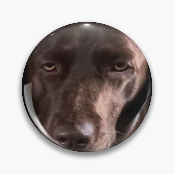 Item preview, steve dog designed and sold by miseryfactories.