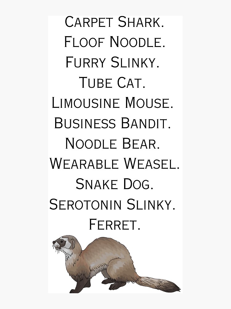 Good store ferret names