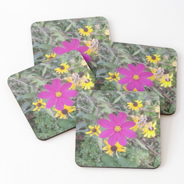 Item preview, Pink Cosmo designed and sold by SweetbriarPhoto.