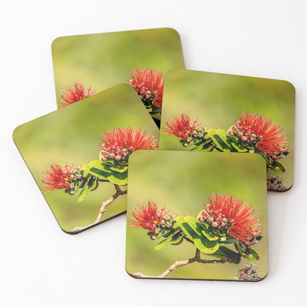 Item preview, Pua Lehua designed and sold by Keola Makaiau.