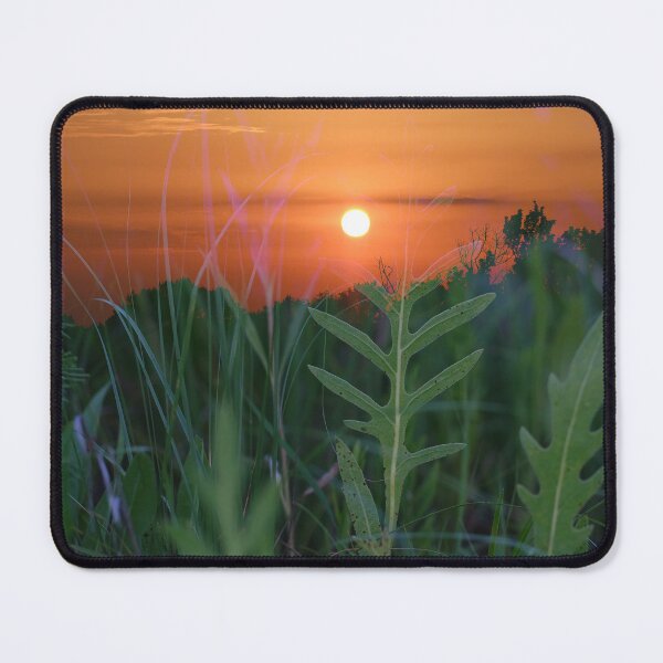 Item preview, Sunset and Green Leaves designed and sold by Votawgrapher.