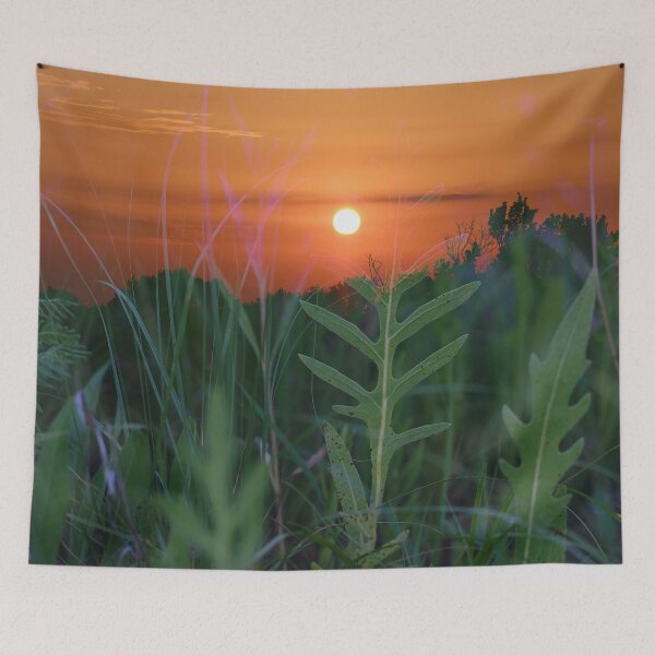 Item preview, Sunset and Green Leaves designed and sold by Votawgrapher.