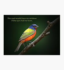 The soul would have no rainbow . . . Photographic Print