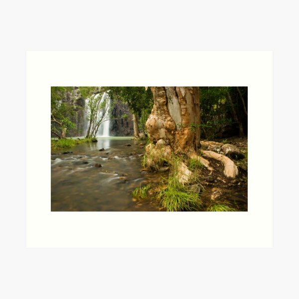 Cedar Ck Art Print