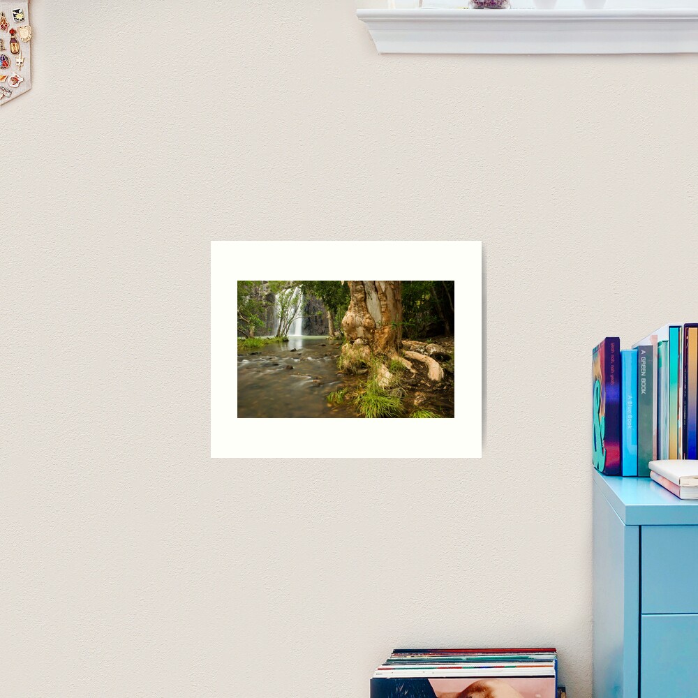 Cedar Ck Art Print