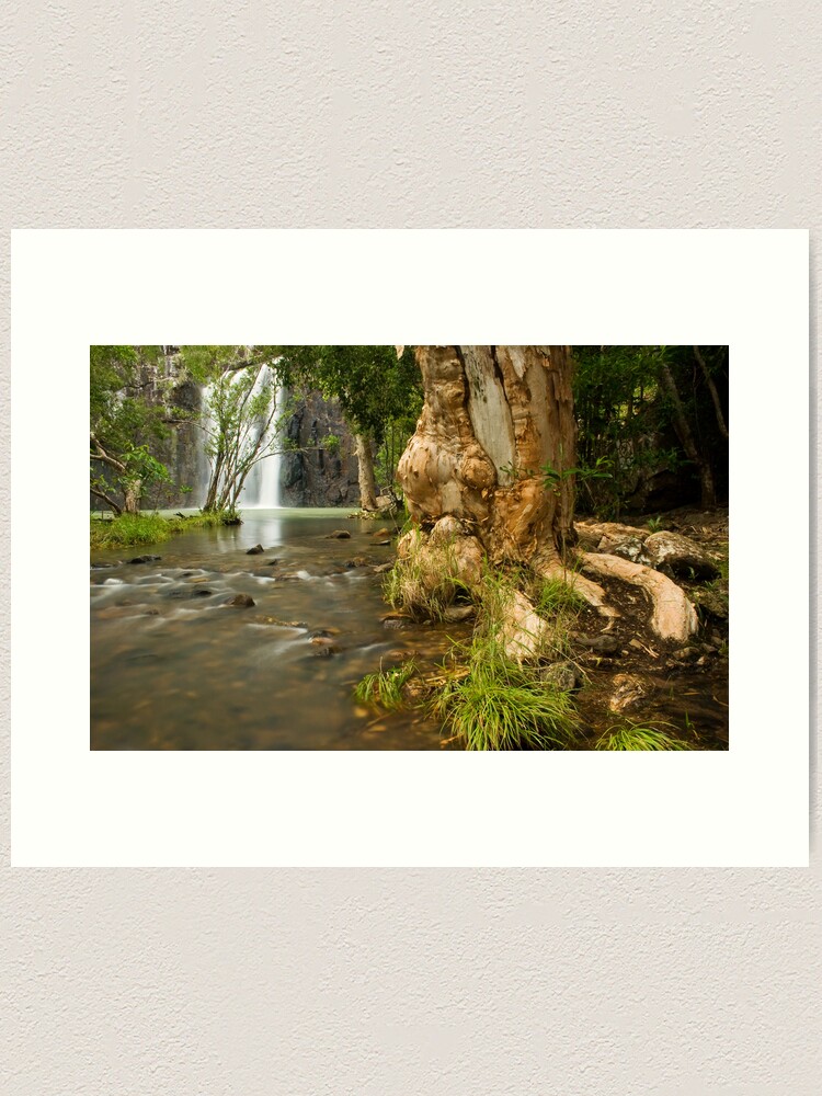 Thumbnail 2 of 3, Art Print, Cedar Ck designed and sold by Tim Wootton.