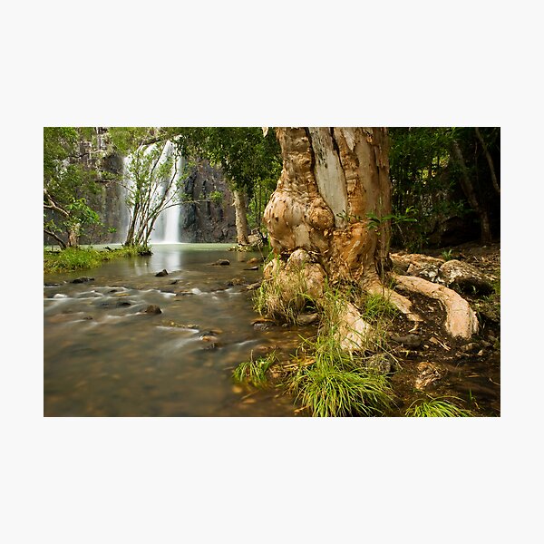 Cedar Ck Photographic Print