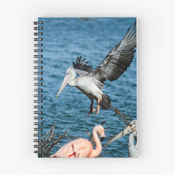 Item preview, Beautiful pelican grounding to the lake side, big wings, proudly bird designed and sold by Alexander Sorokopud.