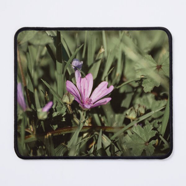 Item preview, Spring Flowers #5.2 designed and sold by MeBphotography.