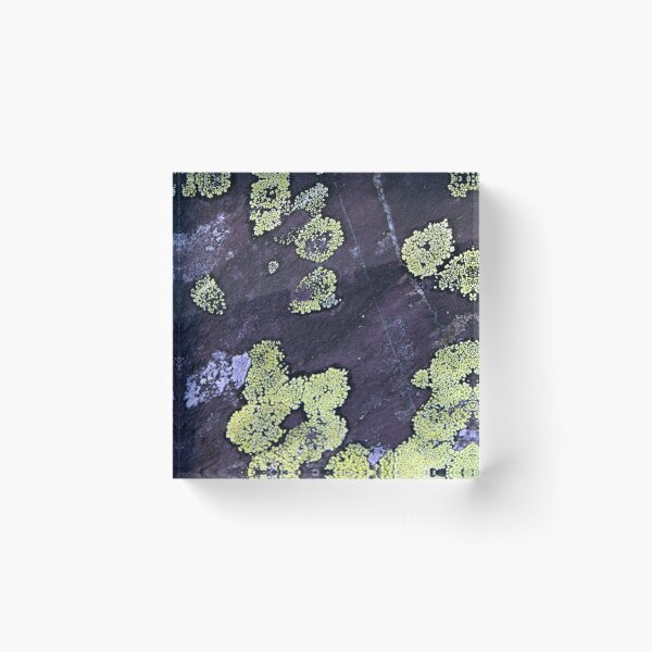 Item preview, lichen  designed and sold by KathleenDawson.