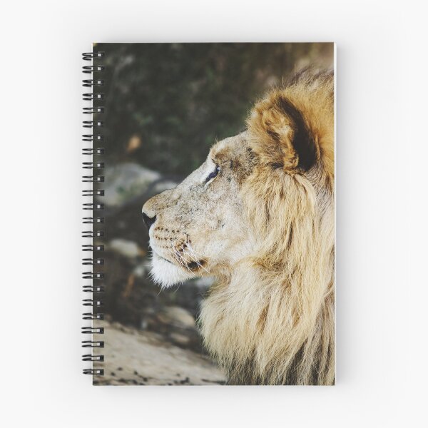 Item preview, Big daunting lion portrait in safari park Sigean, France designed and sold by Alexander Sorokopud.