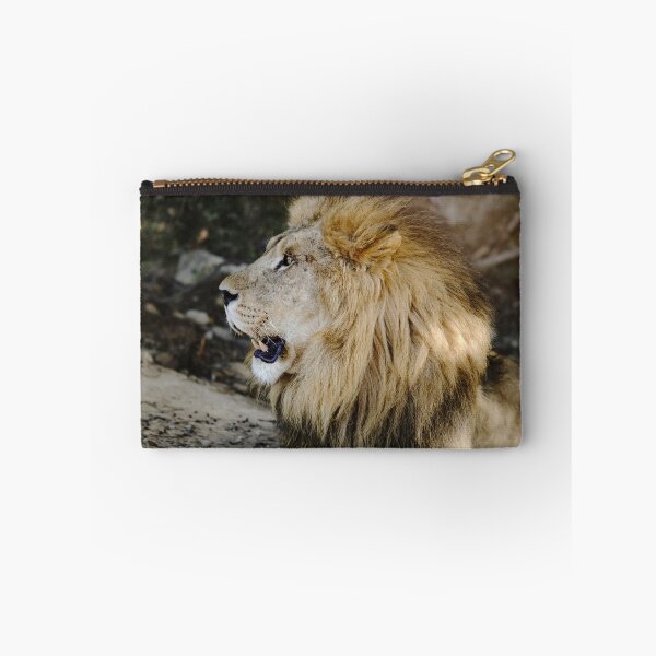 Item preview, Big daunting lion portrait in safari park Sigean, France designed and sold by Alexander Sorokopud.