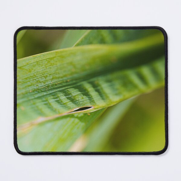 Item preview, Green Yakka Leaf designed and sold by Joy Watson - Natural Light Photography .