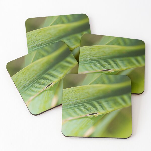 Item preview, Green Yakka Leaf  designed and sold by Joy Watson - Natural Light Photography .