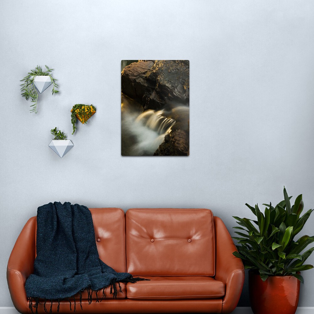 Sunkissed Metal Print