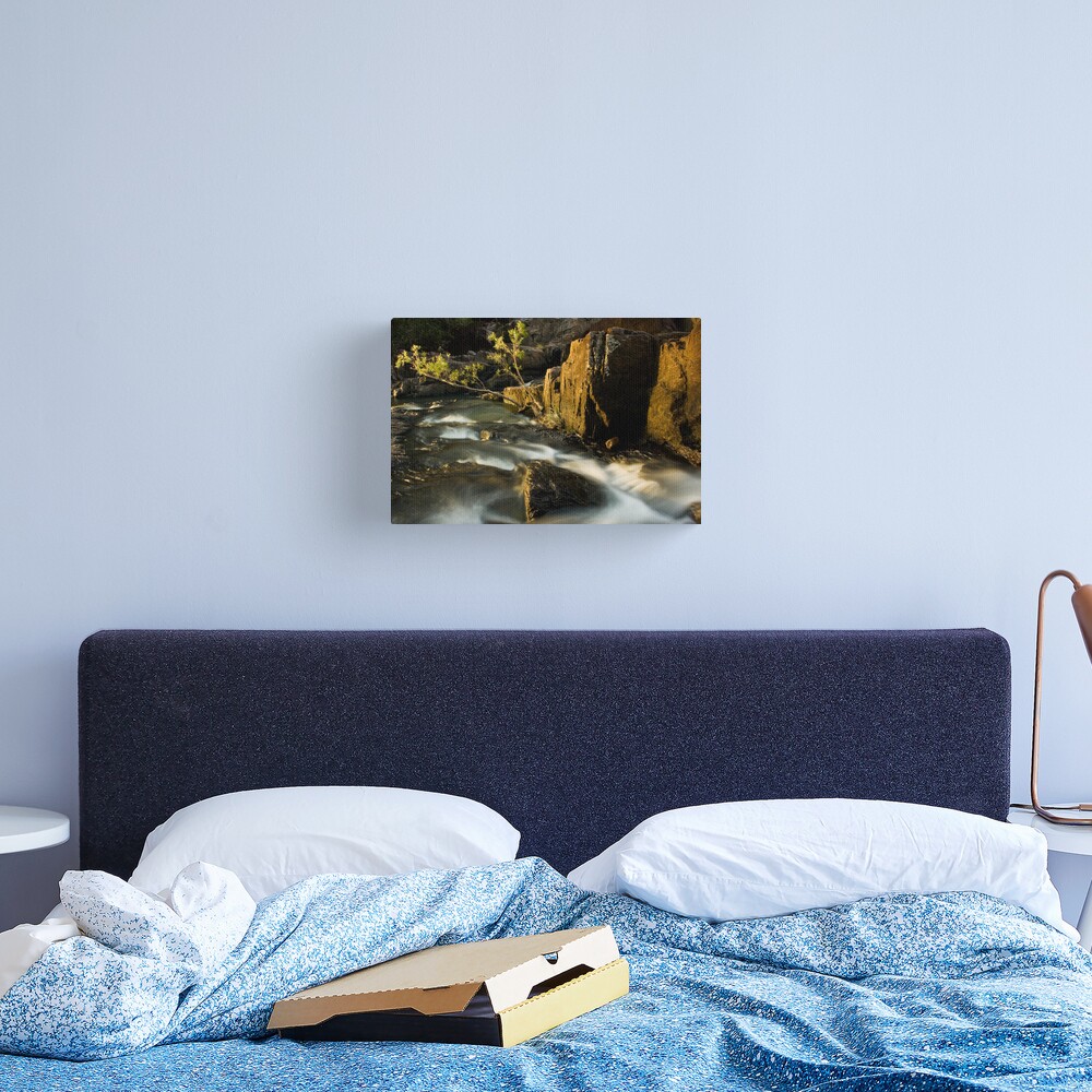 Cedar Ck Canvas Print