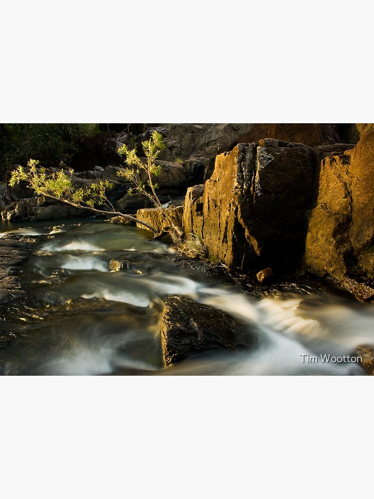 Cedar Ck by wootton60