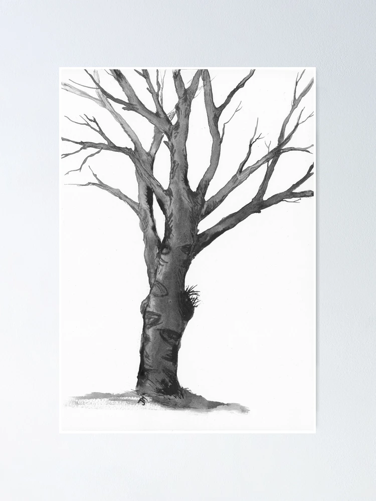 Thumbnail 1 of 3, Poster, Bare Tree Trunk In Ink designed and sold by art-associate.