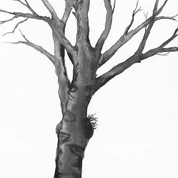 Artwork thumbnail, Bare Tree Trunk In Ink by art-associate