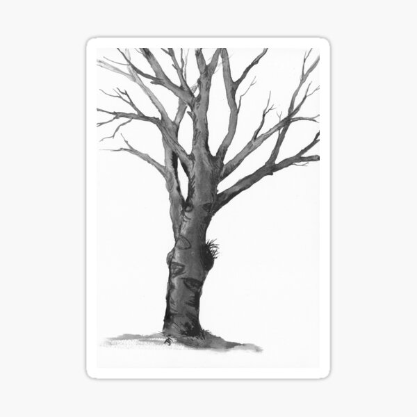 Black Pine Tree Sticker