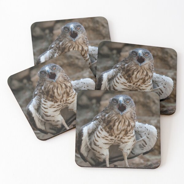 Item preview, the spuki Hawk- eagle-raptor-hawks-wildlife-falcon-red tailed hawk designed and sold by Hermossa-Art.
