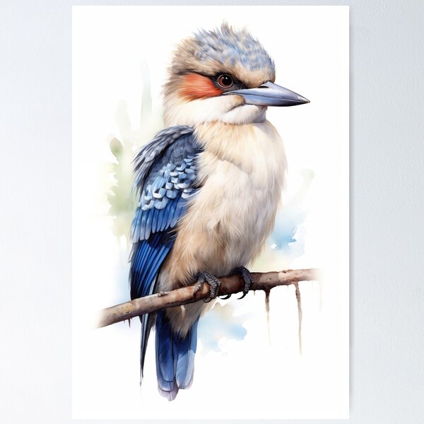 Item preview, Kookaburra, Watercolour art designed and sold by DigitalDugong.