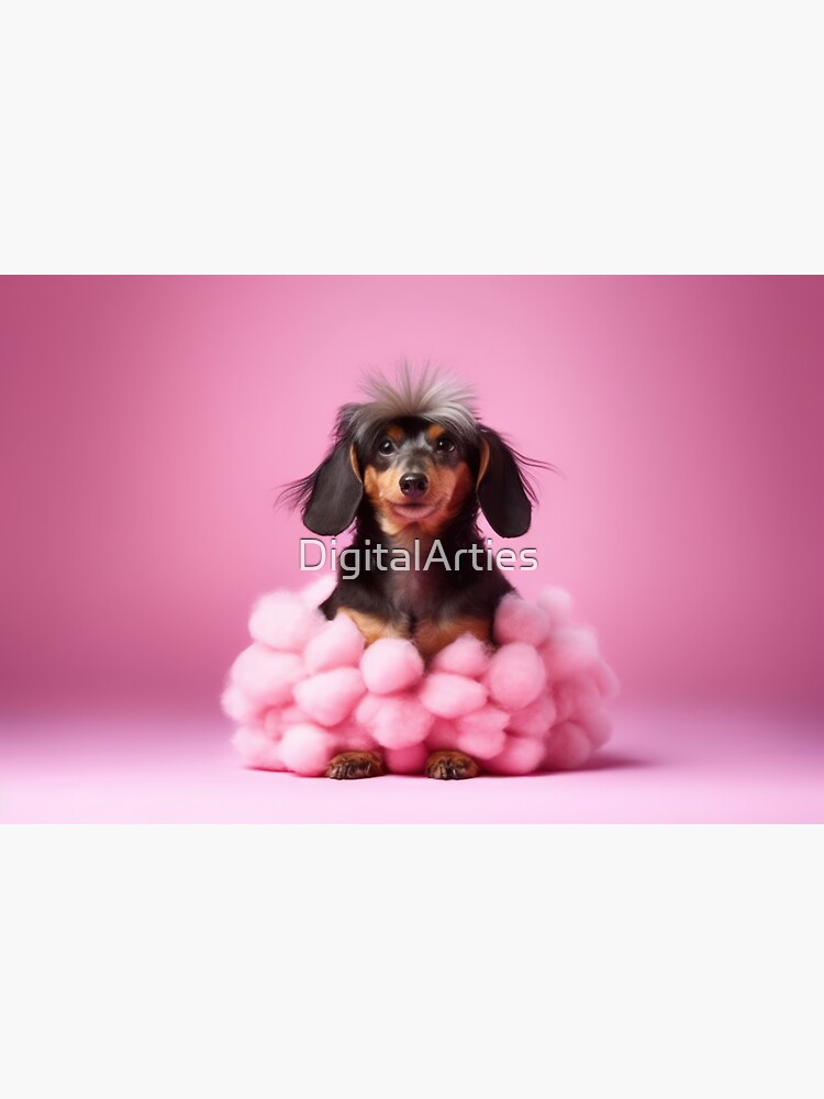 Dog ball cheap gown