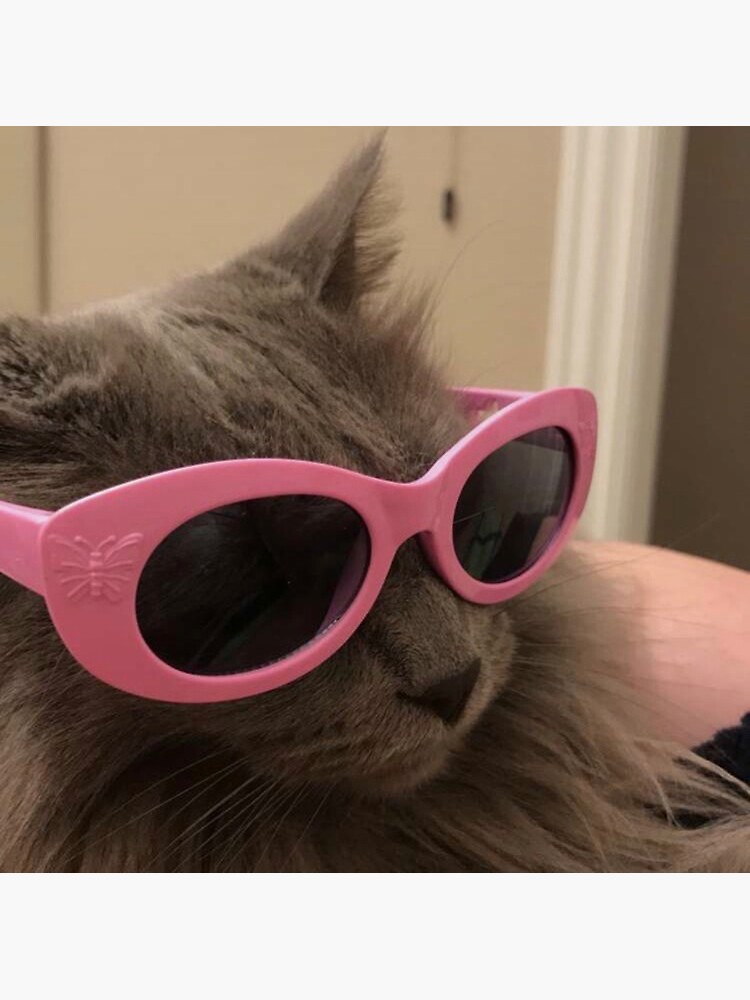 "Clout Cat" Sticker by mdettlaff Redbubble