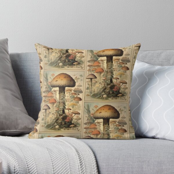 https://ih1.redbubble.net/image.5040076477.3106/throwpillow,small,600x-bg,f8f8f8-c,0,120,600,600.jpg