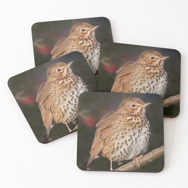Item preview, Song Thrush designed and sold by Krys Bailey.