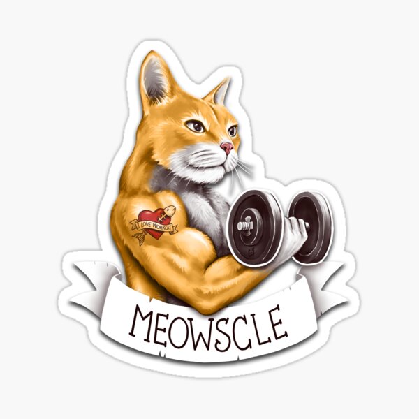 Meowscle Gifts & Merchandise | Redbubble