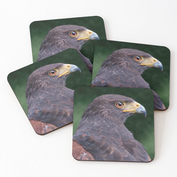 Item preview, Harris Hawk designed and sold by Krys Bailey.