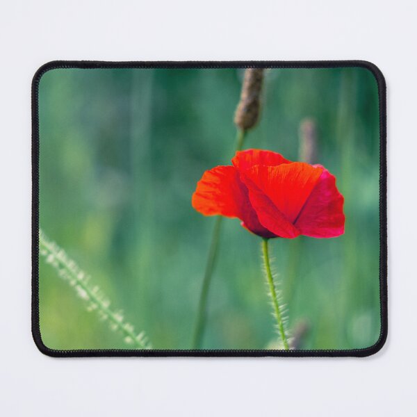 Item preview, Poppy season designed and sold by Benkilbeyprints.