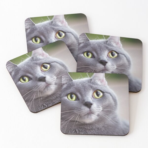 Item preview, Blue cat gaze designed and sold by phuket221108.