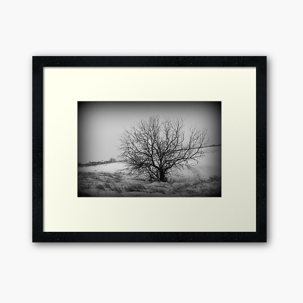 Alone Framed Art Print