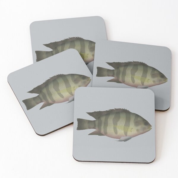Item preview, Redbelly Tilapia designed and sold by fishfolkart.