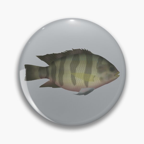 Item preview, Redbelly Tilapia designed and sold by fishfolkart.