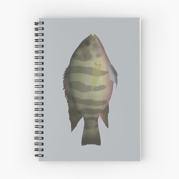 Item preview, Redbelly Tilapia designed and sold by fishfolkart.