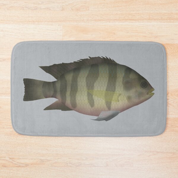 Item preview, Redbelly Tilapia designed and sold by fishfolkart.