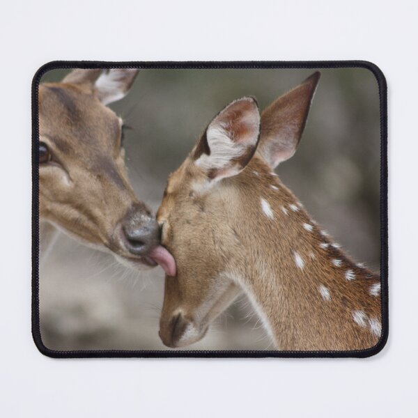 Item preview, Wash Up Deer! designed and sold by Olivia Plasencia.