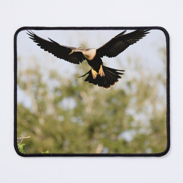 Item preview, The Charade in Venice designed and sold by Michiale.