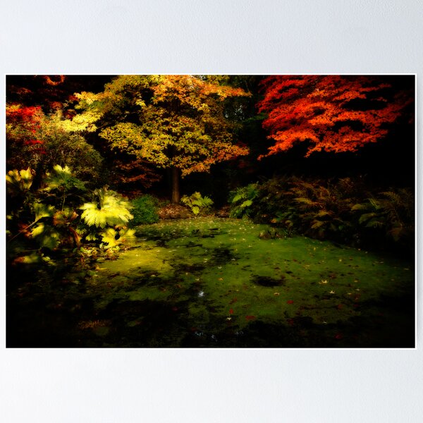 Item preview, Fall Colour designed and sold by Olga Zvereva.