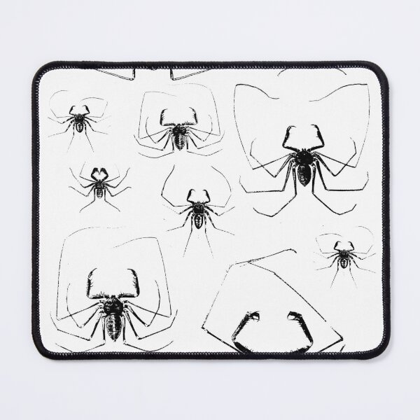 Item preview, Amblypygi - Tailless whip scorpion, arachnid, spider, scary, creepy, black and white, halloween, scientific, pattern designed and sold by Lacrymastory.