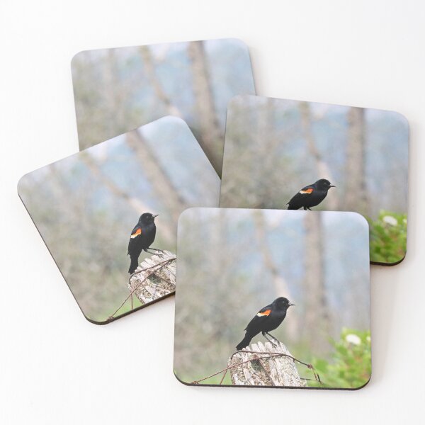 Item preview, Red Winged Blackbird On Post designed and sold by Deb Oppermann.