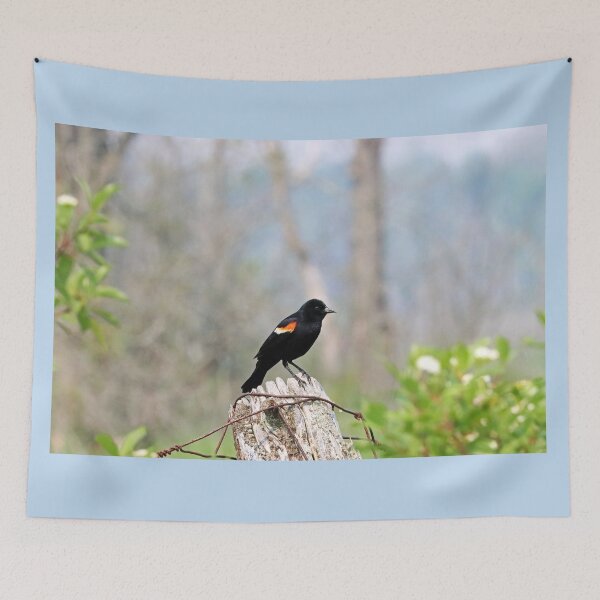 Item preview, Red Winged Blackbird On Post designed and sold by Deb Oppermann.