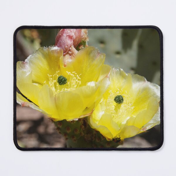 Item preview, Desert Flowers - Yellow designed and sold by Bloom-N-Blossom.
