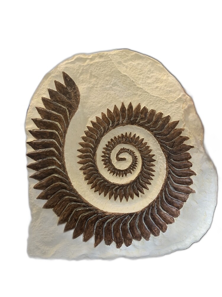 Helicoprion Poster