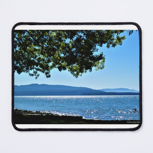 Item preview, A Day at Marine Park 2.0 designed and sold by Brian Roland.