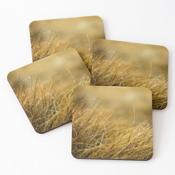 Item preview, This Will Dew designed and sold by Daniel's Destinations.